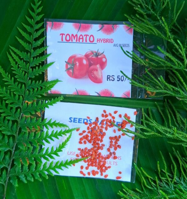 Best Quality Tomato Seed buy online