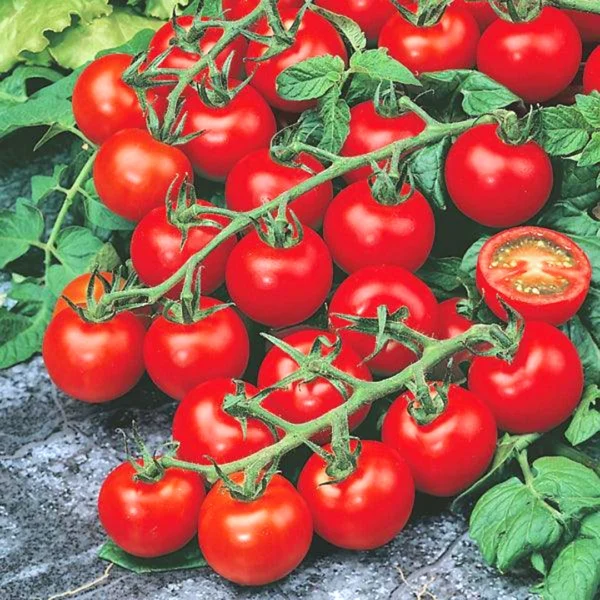 Red Cherry Tomato Seeds