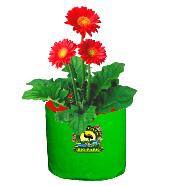 HDPE GROW BAGS