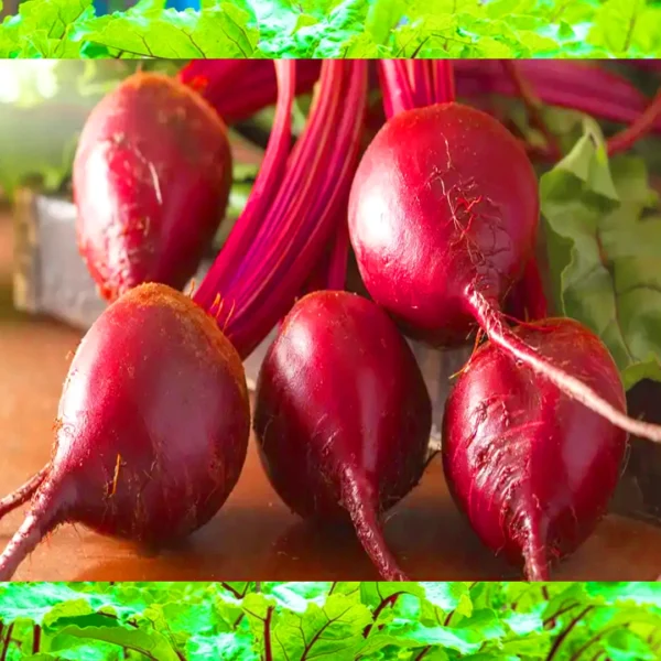 Buy beetroot seeds online india