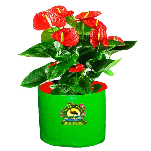 HDPE Grow Bags