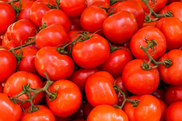 tomato seed buy online