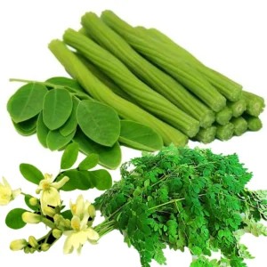 Drumstick Moringa Hybrid Seeds