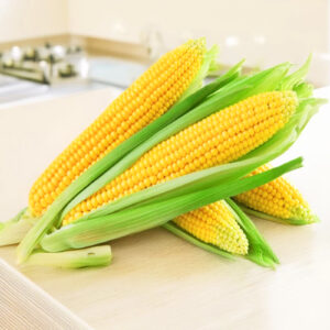 Sweet Corn Hybrid Seeds