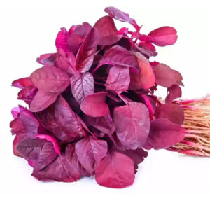 Red Amaranthus Spinach Cheera Seeds