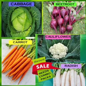 Winter Vegetable Combo Pack