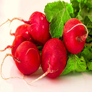 Red Radish Round Hybrid Seeds