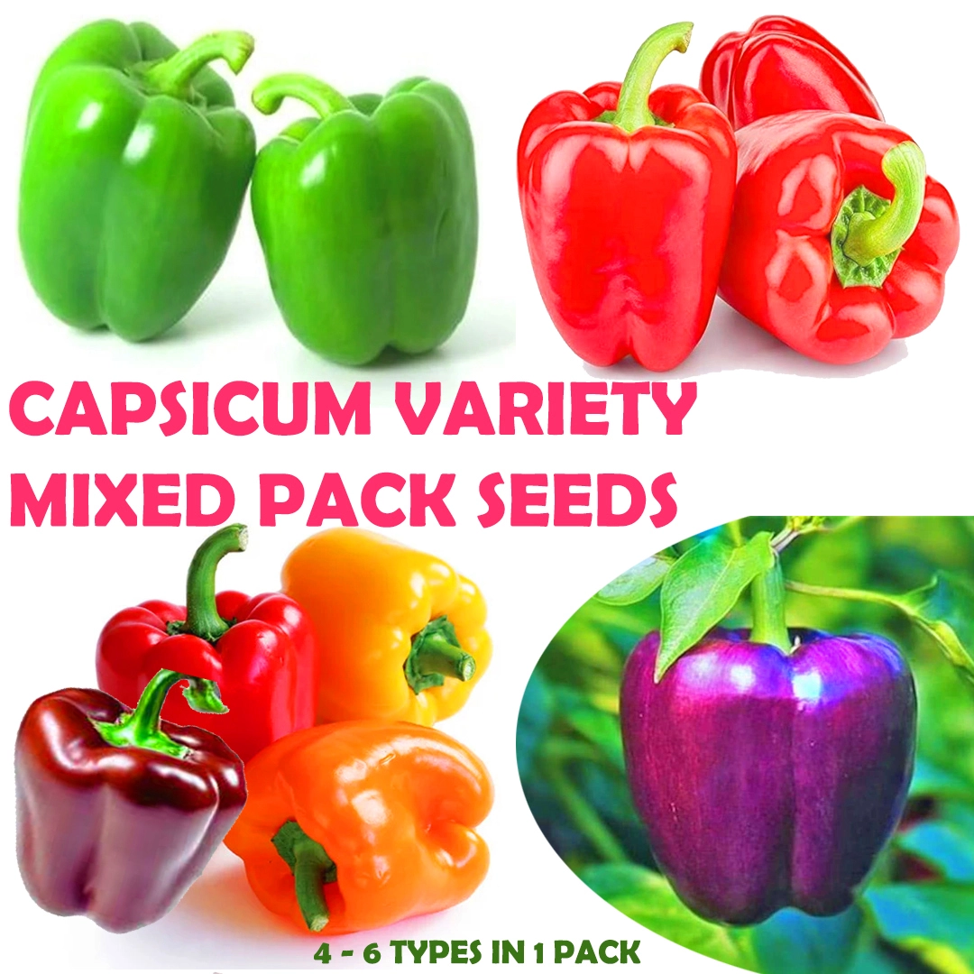 Capsicum Mixed Seed